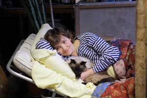 ����� ������ �����.���������� �� ��������� ��������.